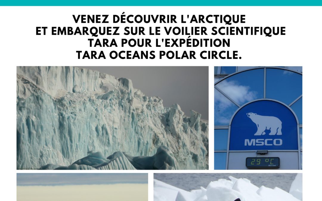 Exposition « Cap sur l’Arctique » au CDI