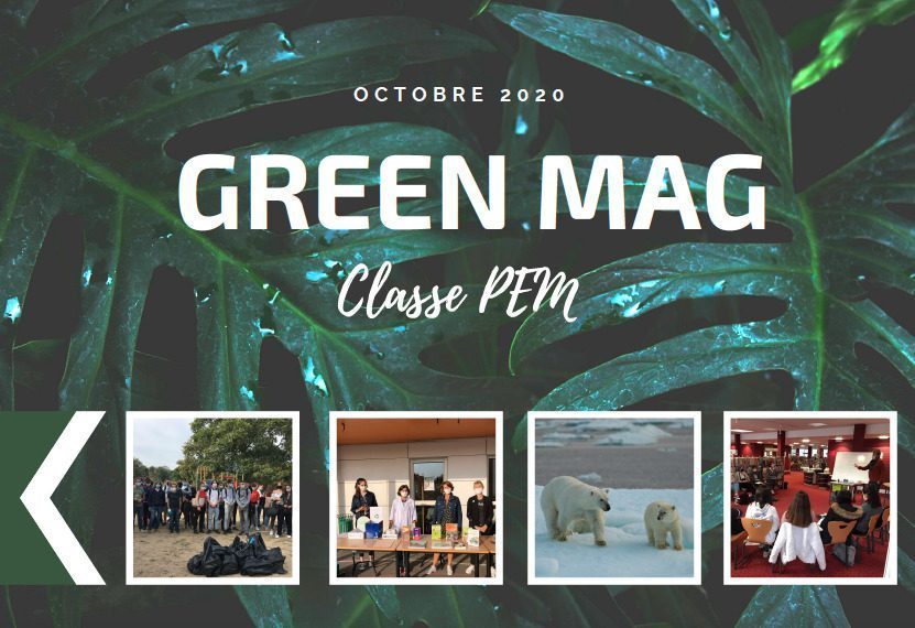 Découvrez l’actualité écolo du lycée via le « Green Mag » de la classe PEM